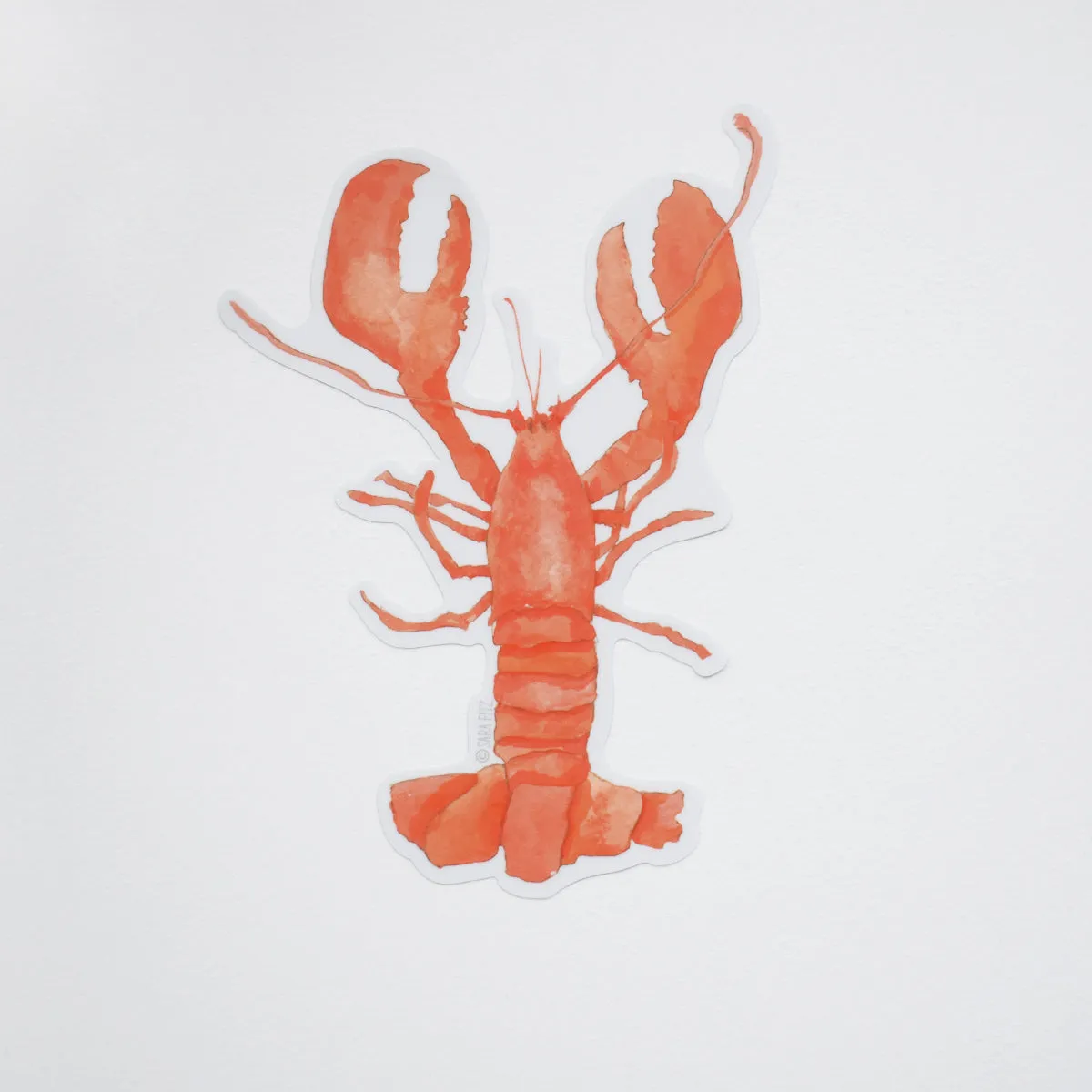 Lobster Sticker